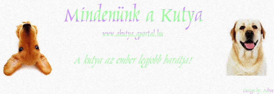 A Kutya